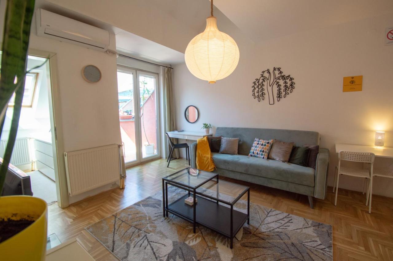 Spacious 1-Bedroom Apartment Novi Sad Esterno foto